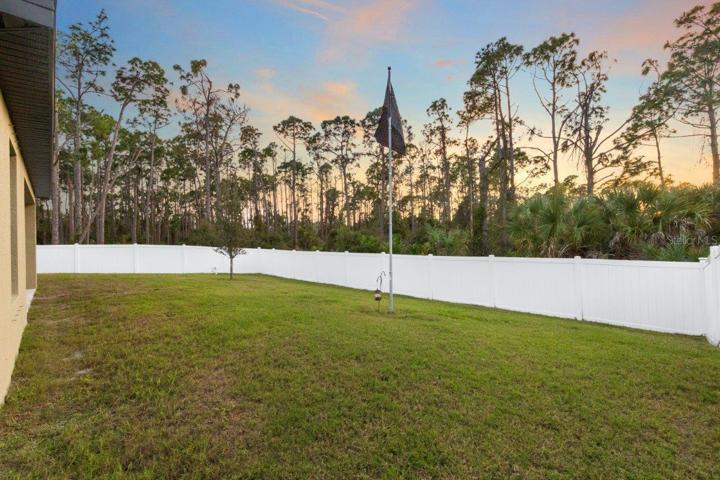 Huge fenced-in back yard.