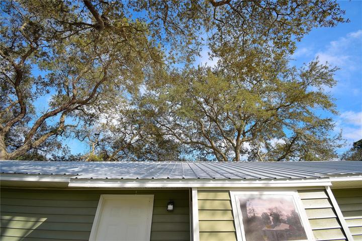New Metal Roof