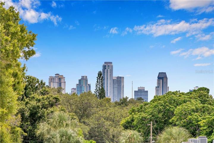 Downtown Skyline View from private covered balcony
