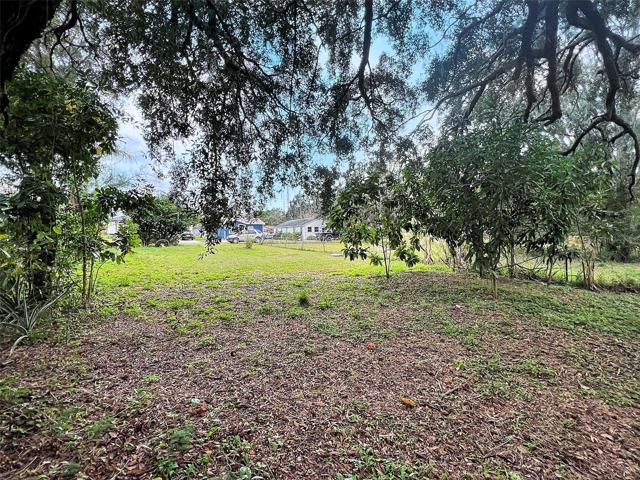 Wonderful oak tree canopy in the back of the property