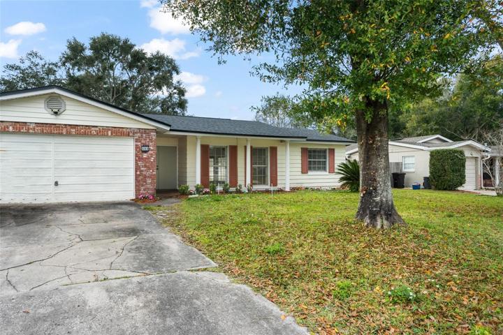 Front Yard and Driveway