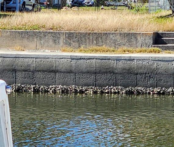 View of the seawall