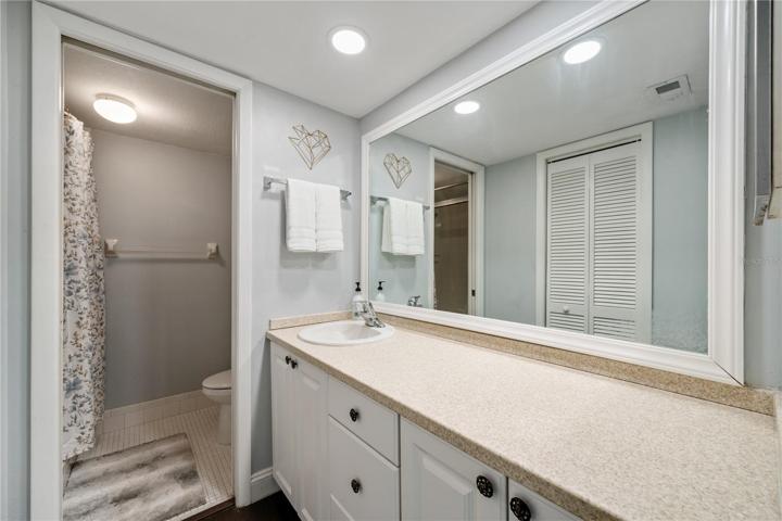 Primary bathroom with shower