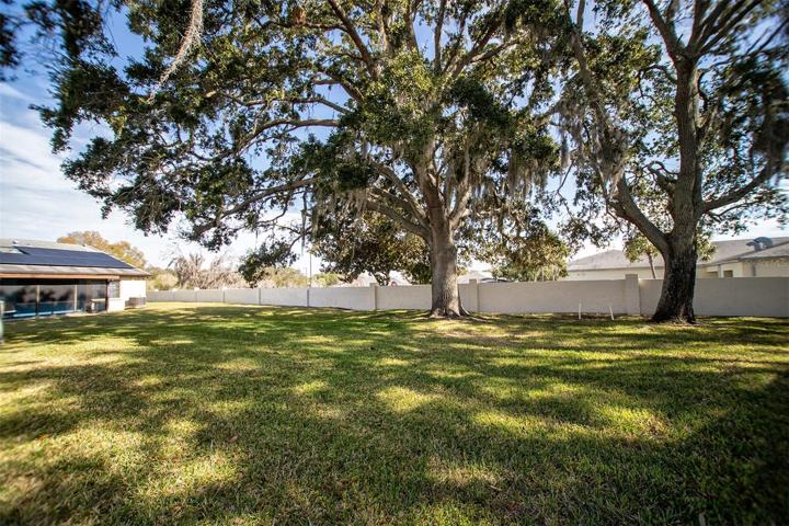 Large side yard