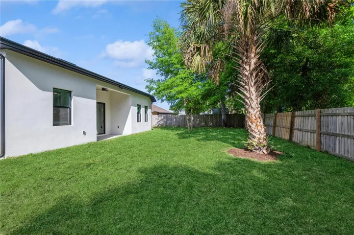 Backyard