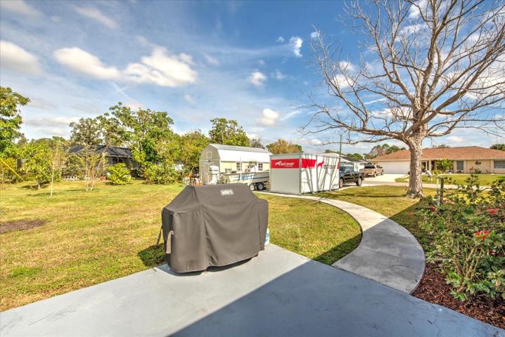Backyard