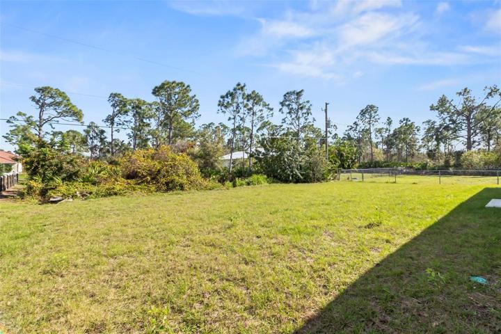 yard looking at extra lot