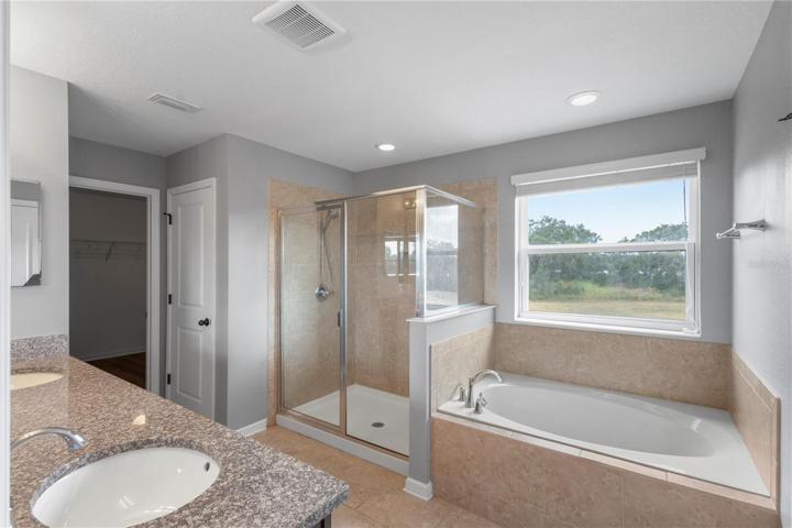 Master Bathroom Pic 3