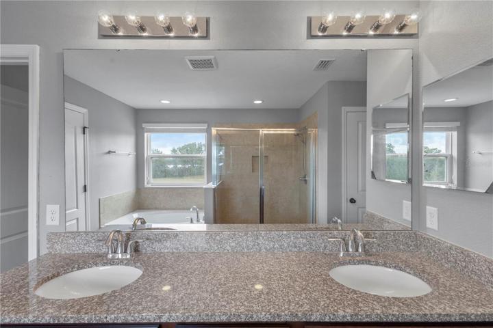 Master Bathroom Pic 2