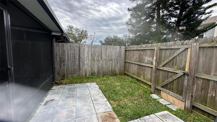 Backyard