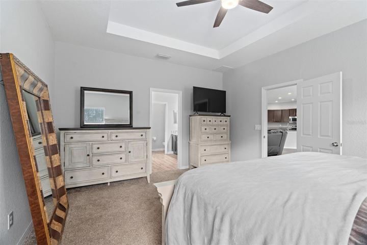 Large owner suite with tray ceiling