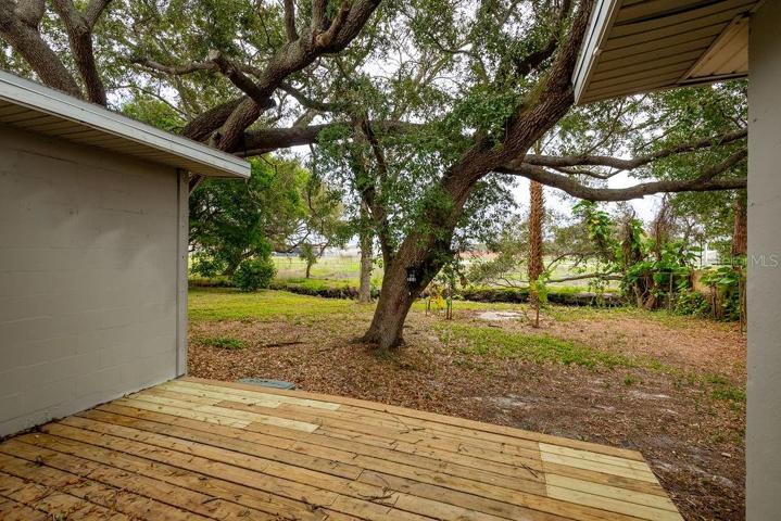 Deck/Backyard
