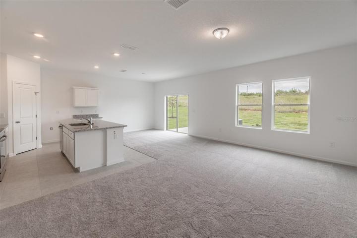 Dinning/Kitchen