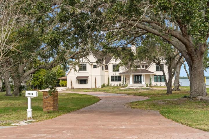 Canopy of Oaks