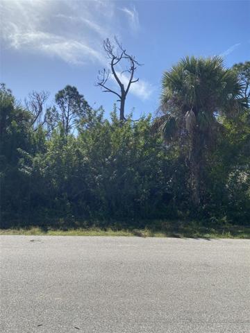 Front Lot