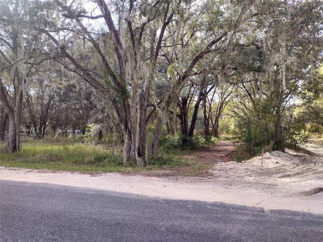 North end of driveway