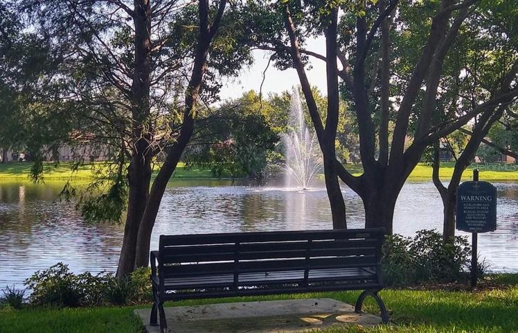 bench by the pond