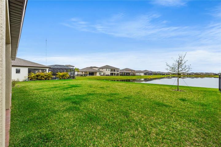 View of back yard