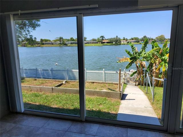 Interior Lake views