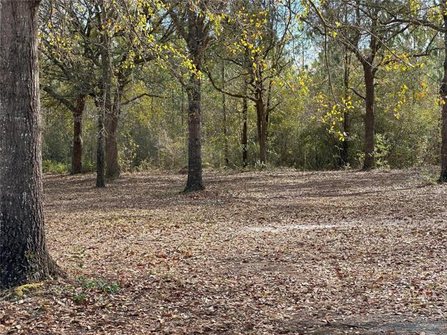 Front of lot with nice open shaded mature trees.