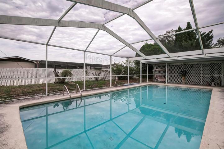 pool and cage