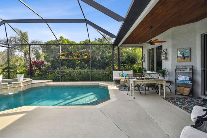 New pool & equipment