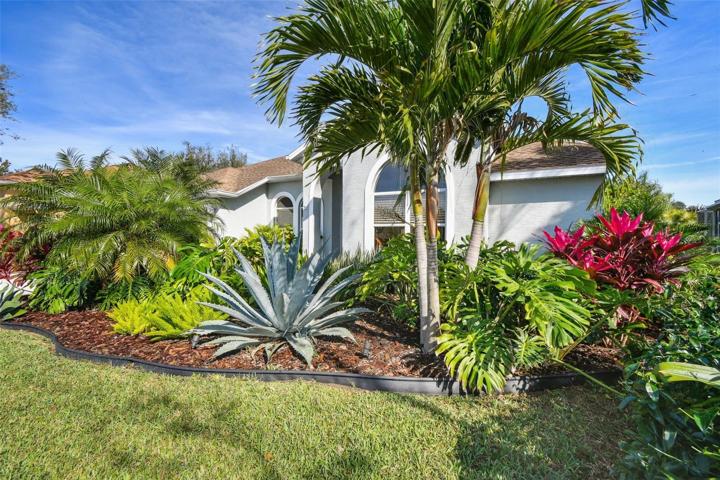 I love this blue agave