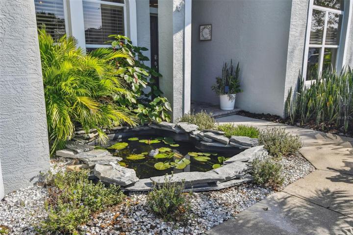 Koi Pond to welcome you home