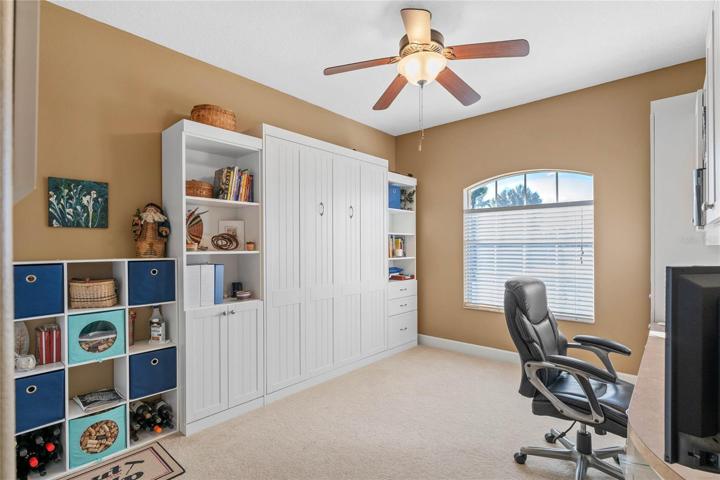 Built in Murphy Bed wiht shelves
