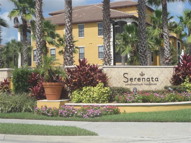 Serenata complex