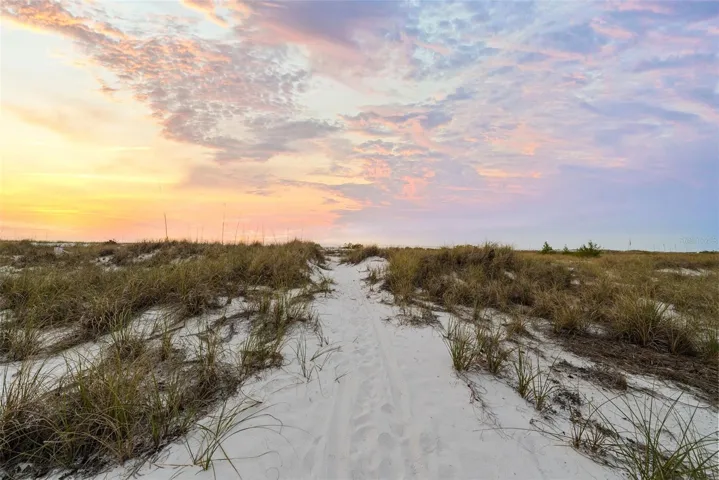 Path To Paradise