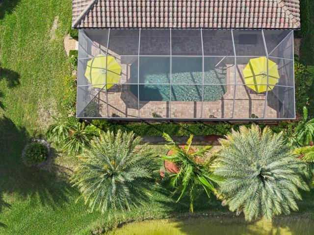Aerial View of the pool and backyard