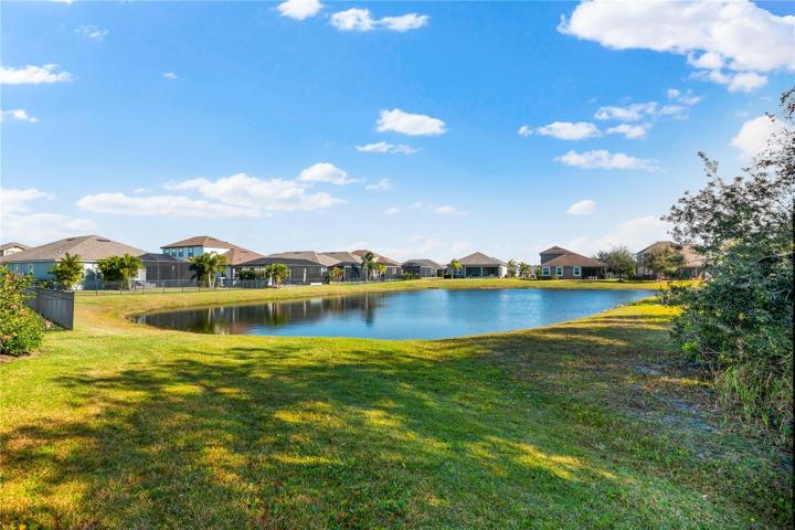 Pond / Preserve View