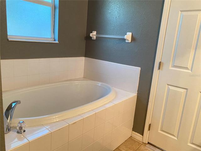Master Bathroom Soaking Tub