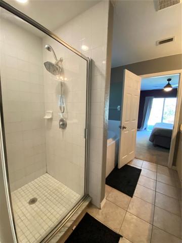 Master Bath Shower