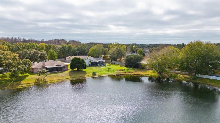 Lake view