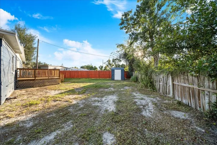 Backyard