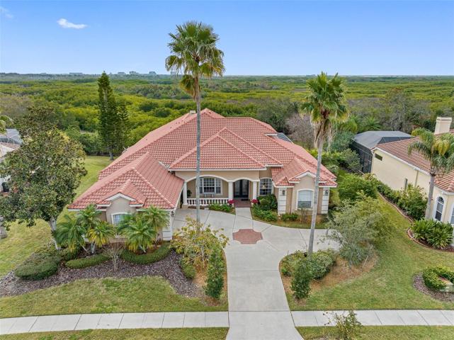 Conservation lot backing up to Tampa Bay