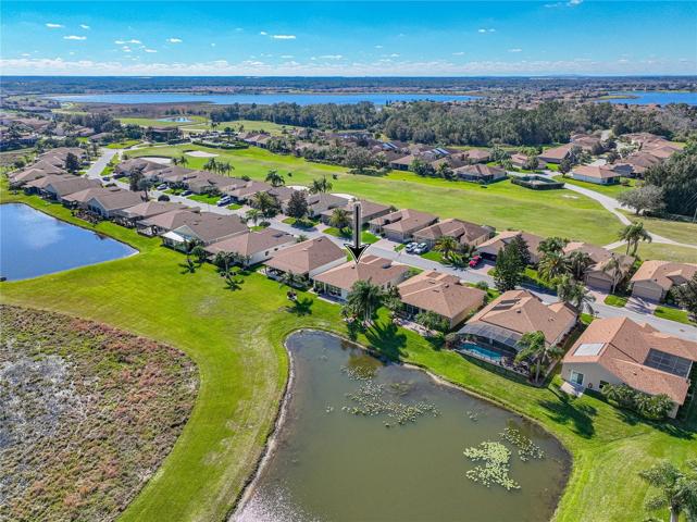Neighborhood drone view