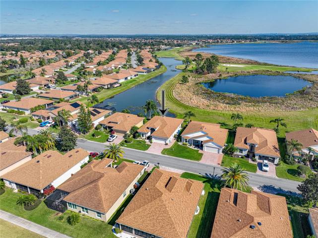 Neighborhood drone view