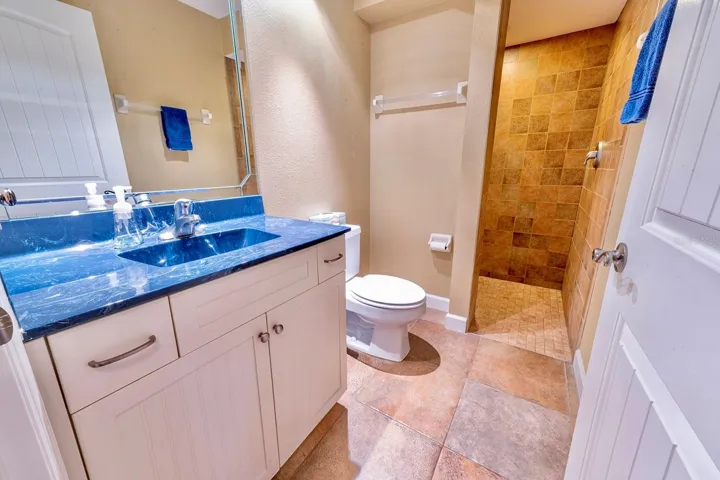 Full guest bath