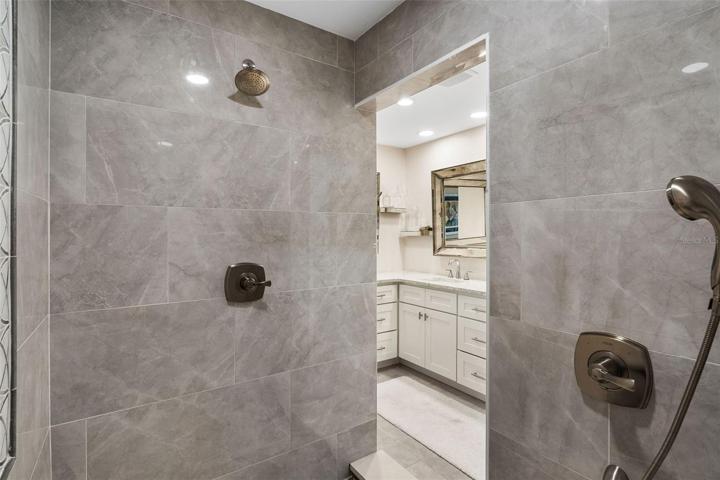 Primary Shower