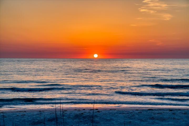 Toast to another fine day in paradise!