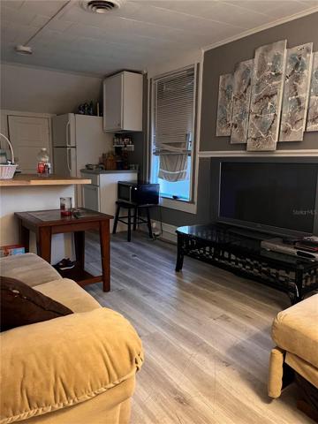 Apt 4 Living Room