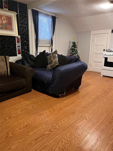 Apt 3 Living Room