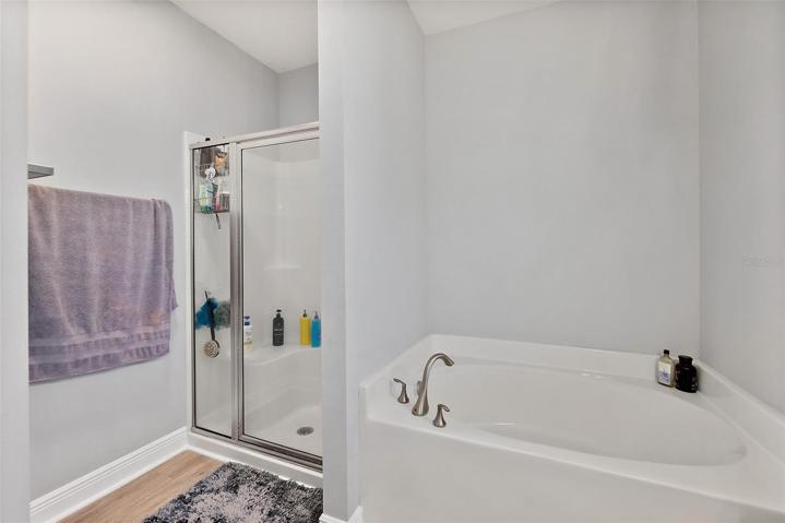 Shower and garden tub