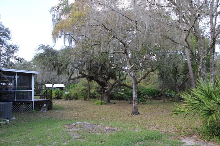 Primary home backyard