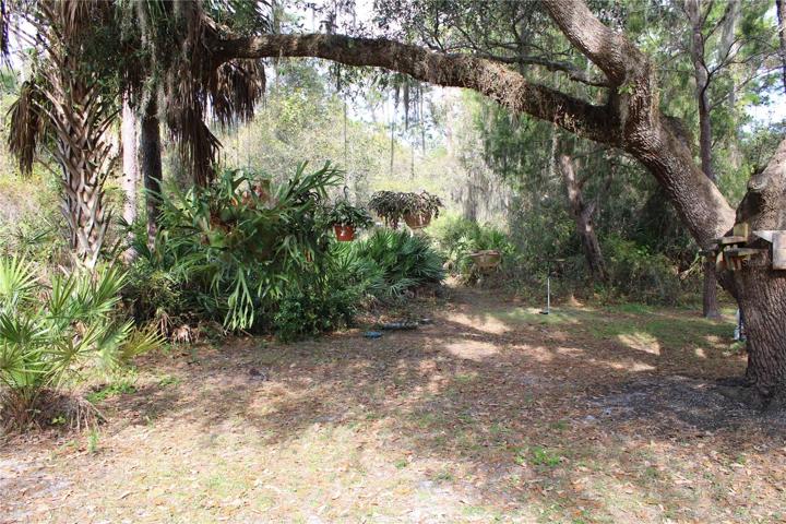 Primary home backyard woods entrance