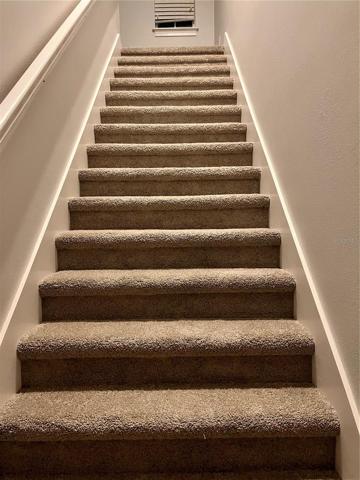 Entry Stairs