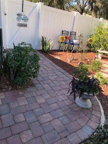 Back Patio